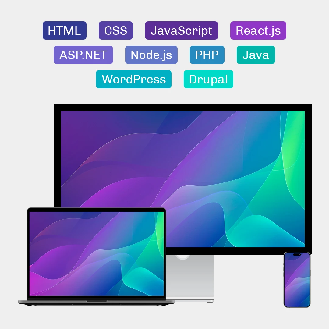 Web site design and development, including HTML, CSS, JavaScript, React.js, ASP.NET, Node.js, PHP, Java, WordPress and Drupal